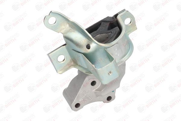 Variklio montavimas BIRTH 51499