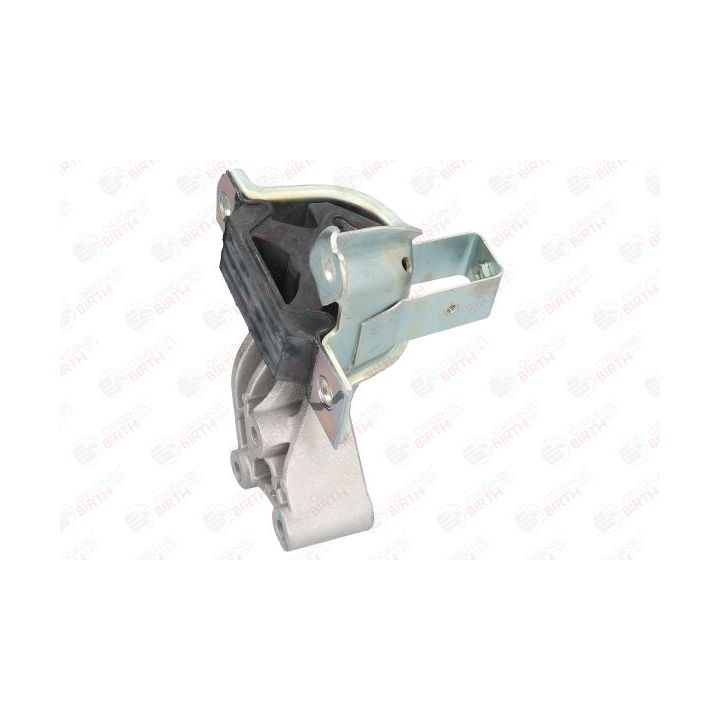 Variklio montavimas BIRTH 51499