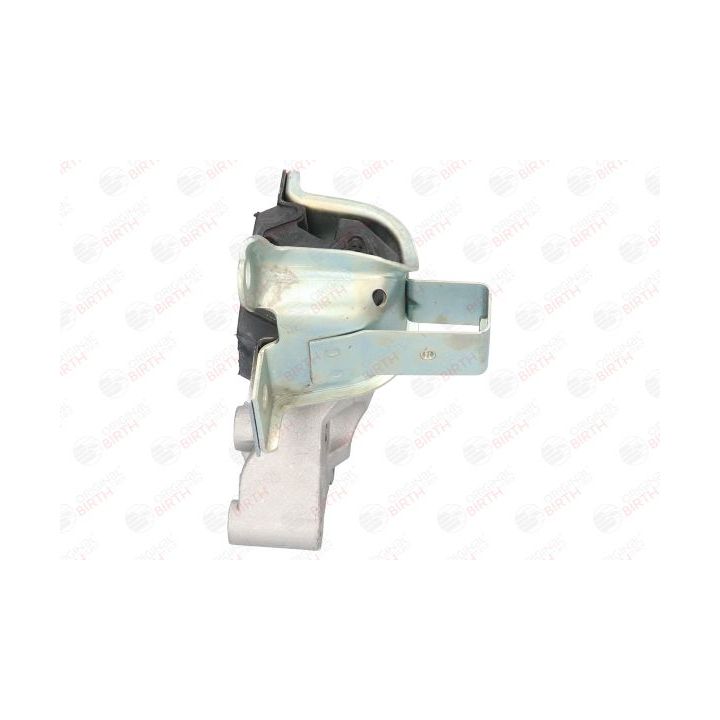 Variklio montavimas BIRTH 51499