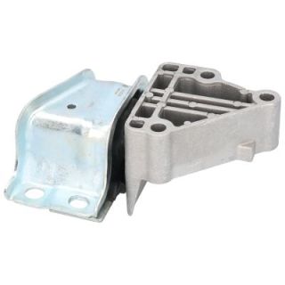 Variklio montavimas BIRTH 51500