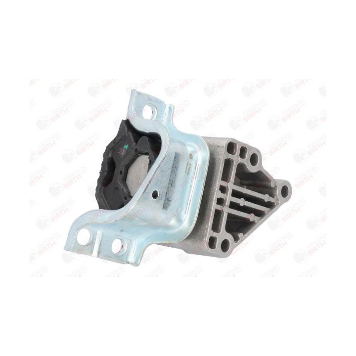 Variklio montavimas BIRTH 51500