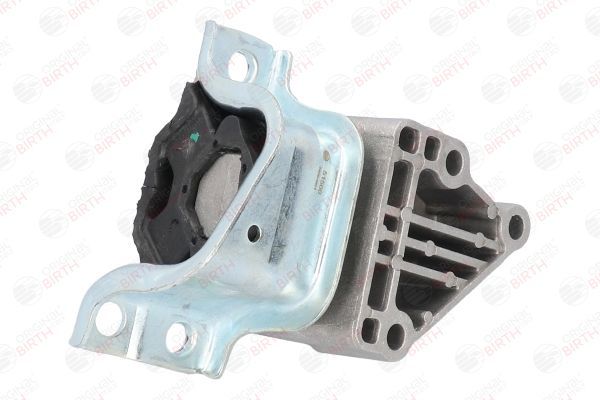 Variklio montavimas BIRTH 51500