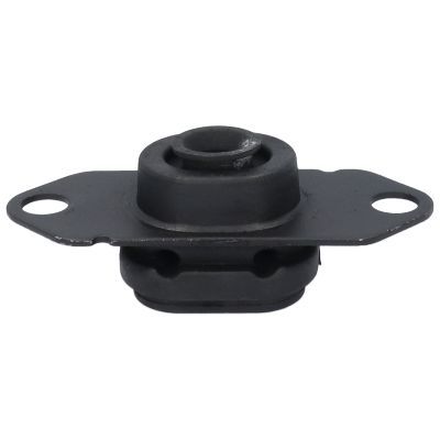 Variklio montavimas BIRTH 51507