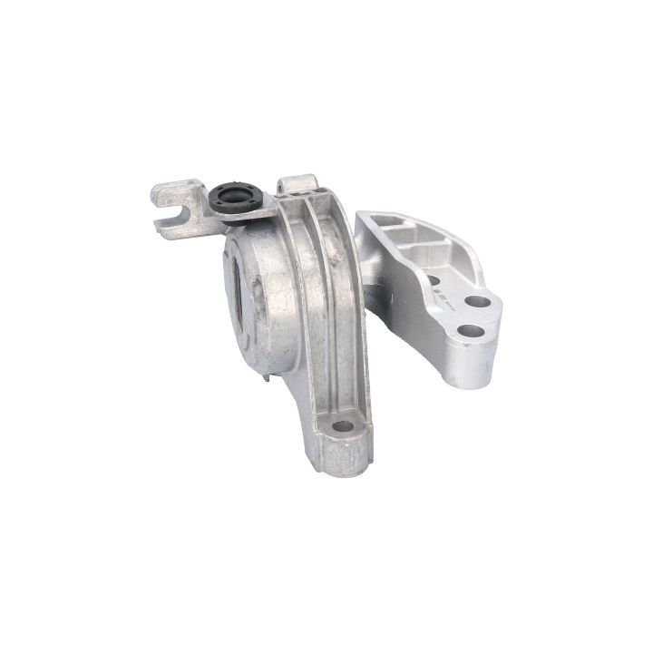 Variklio montavimas BIRTH 51515