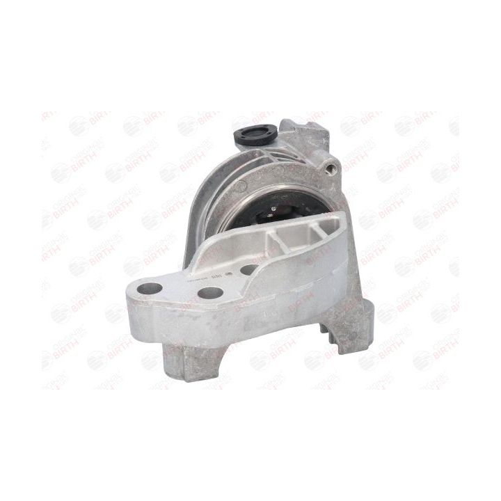 Variklio montavimas BIRTH 51515