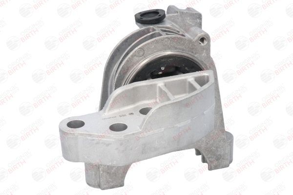 Variklio montavimas BIRTH 51515