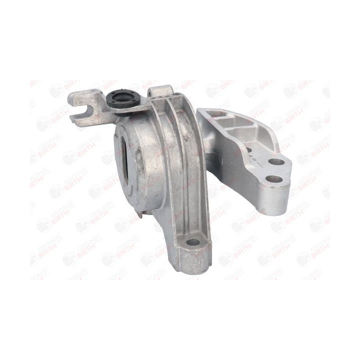 Variklio montavimas BIRTH 51515