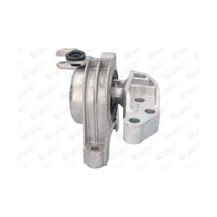 Variklio montavimas BIRTH 51515