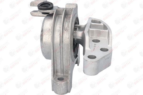 Variklio montavimas BIRTH 51515