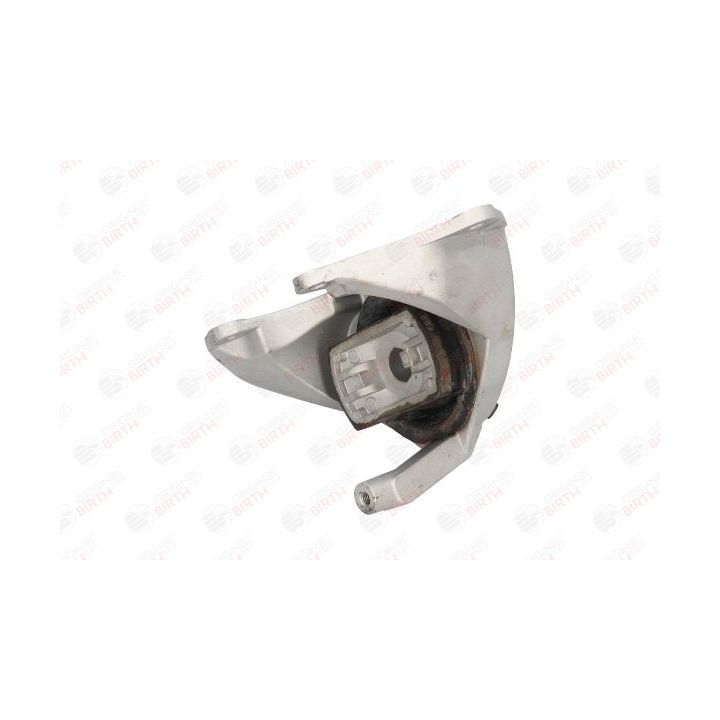 Variklio montavimas BIRTH 51517