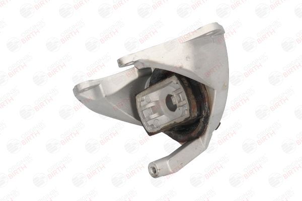 Variklio montavimas BIRTH 51517