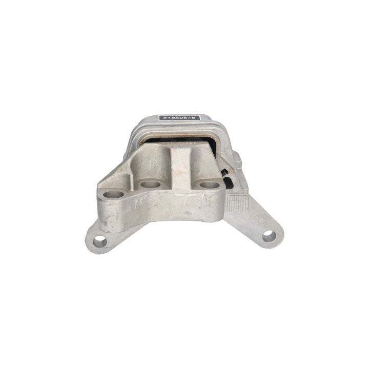 Variklio montavimas BIRTH 51518