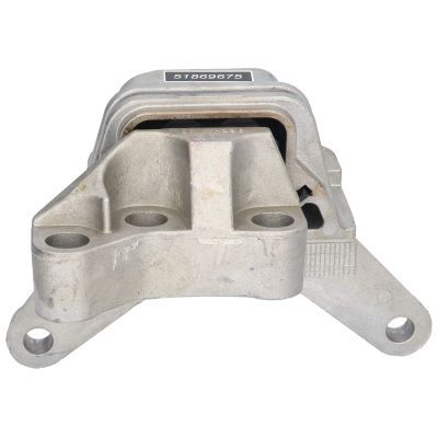 Variklio montavimas BIRTH 51518