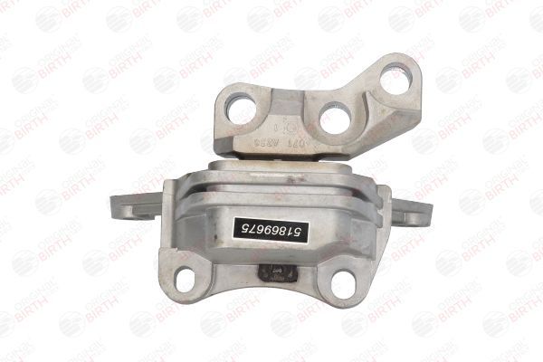 Variklio montavimas BIRTH 51518