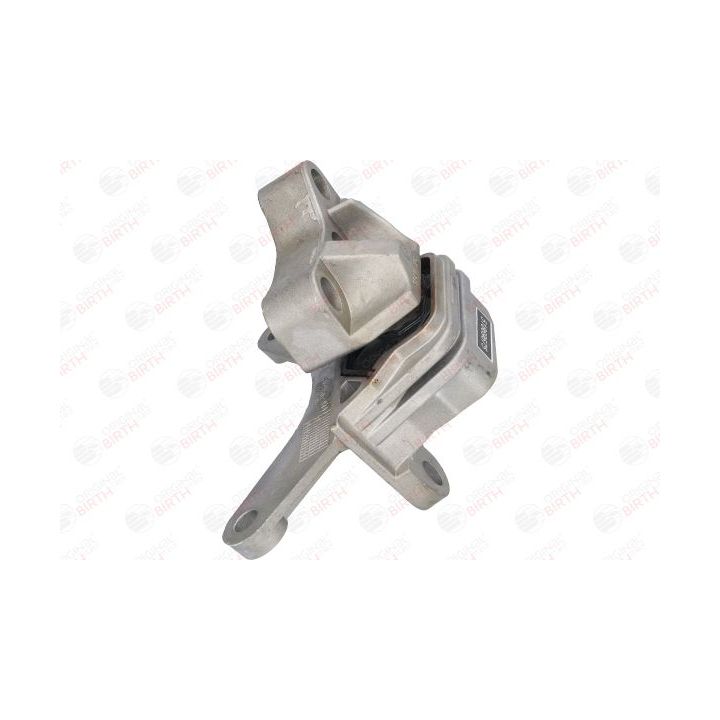 Variklio montavimas BIRTH 51518