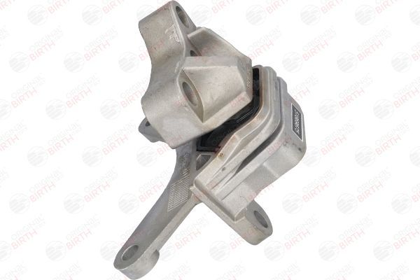 Variklio montavimas BIRTH 51518