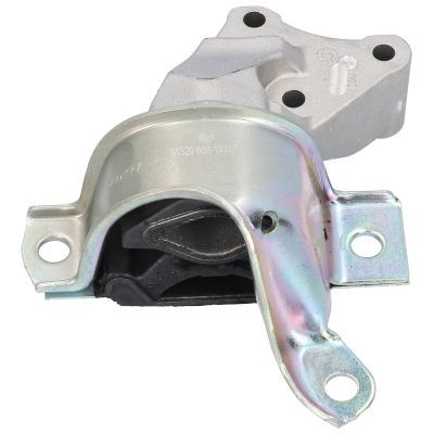 Variklio montavimas BIRTH 51520