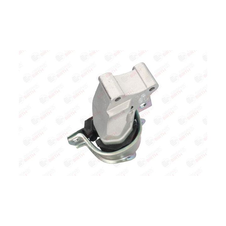 Variklio montavimas BIRTH 51520