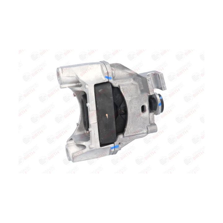 Variklio montavimas BIRTH 51522