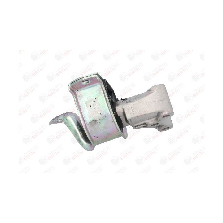 Variklio montavimas BIRTH 51523