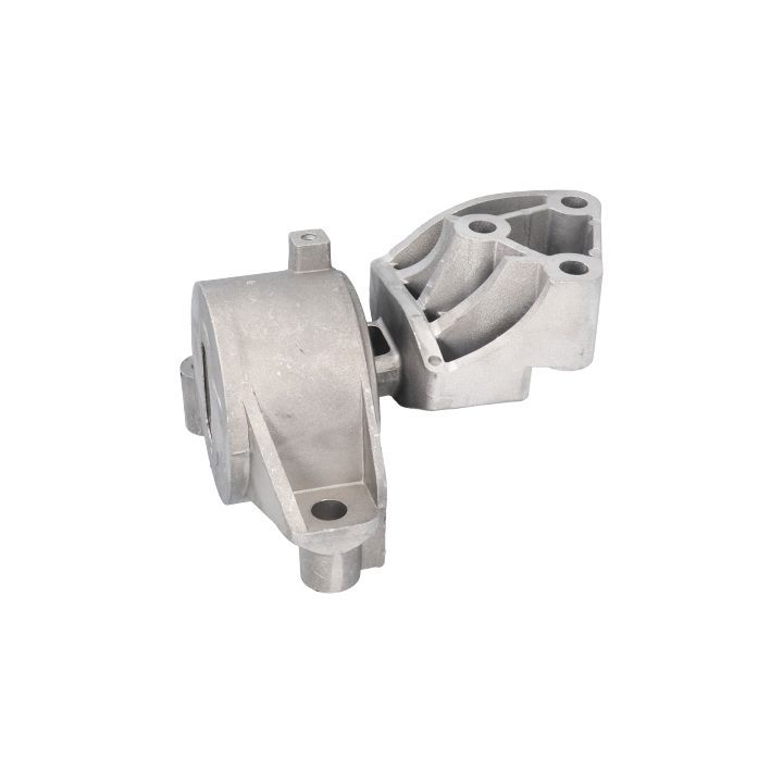 Variklio montavimas BIRTH 51524