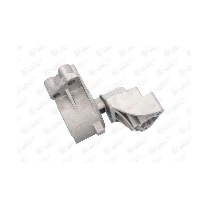 Variklio montavimas BIRTH 51524