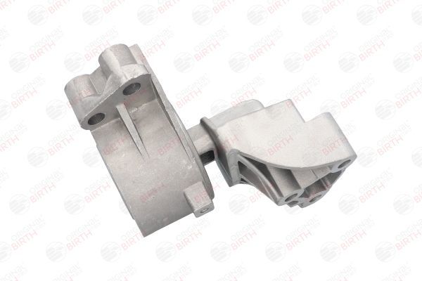 Variklio montavimas BIRTH 51524