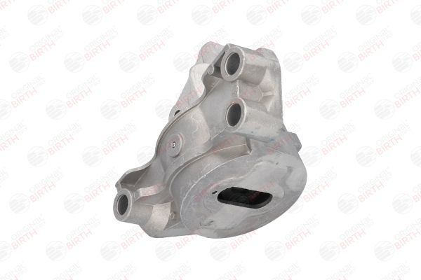 Variklio montavimas BIRTH 51524