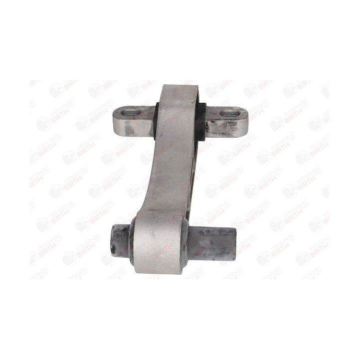 Variklio montavimas BIRTH 51526