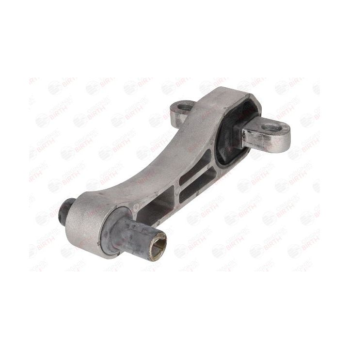 Variklio montavimas BIRTH 51526