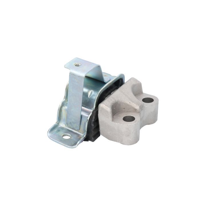 Variklio montavimas BIRTH 51529