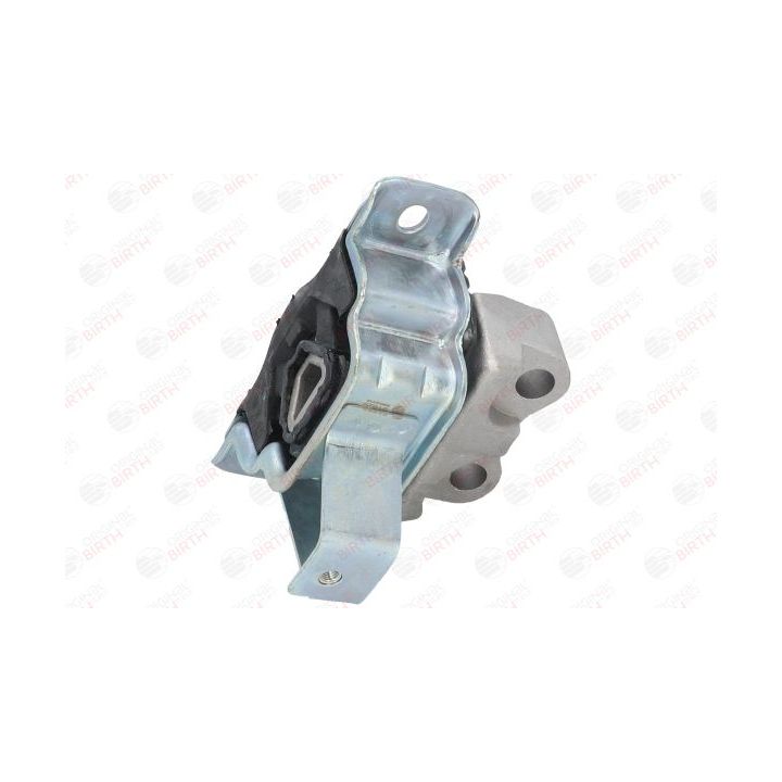 Variklio montavimas BIRTH 51529