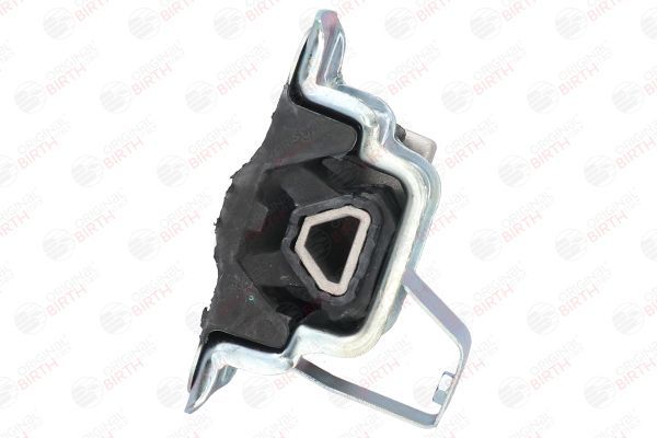 Variklio montavimas BIRTH 51529