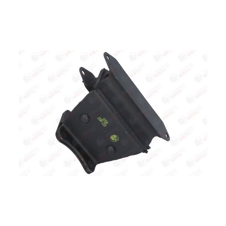 Variklio montavimas BIRTH 51530