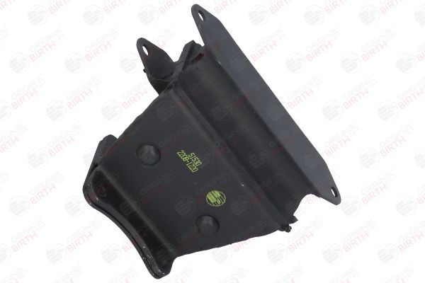 Variklio montavimas BIRTH 51530