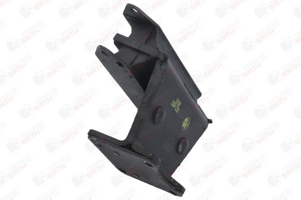 Variklio montavimas BIRTH 51530