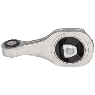 Variklio montavimas BIRTH 51532