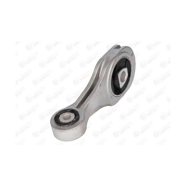 Variklio montavimas BIRTH 51532