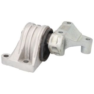 Variklio montavimas BIRTH 51533