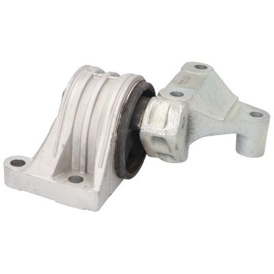 Variklio montavimas BIRTH 51533