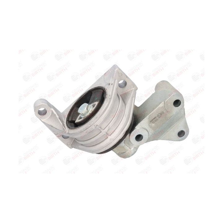 Variklio montavimas BIRTH 51533