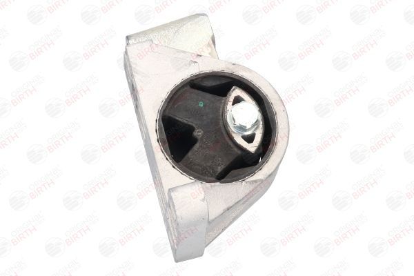 Variklio montavimas BIRTH 51533