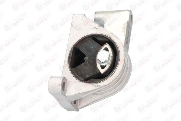 Variklio montavimas BIRTH 51533