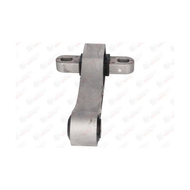 Variklio montavimas BIRTH 51534