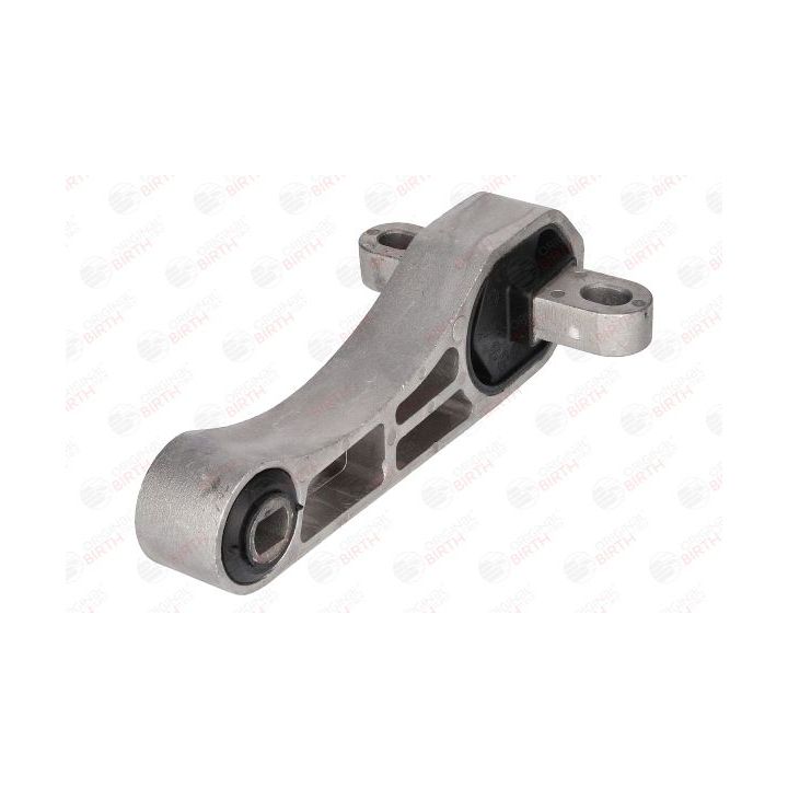 Variklio montavimas BIRTH 51534