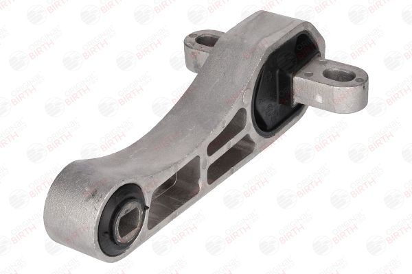 Variklio montavimas BIRTH 51534