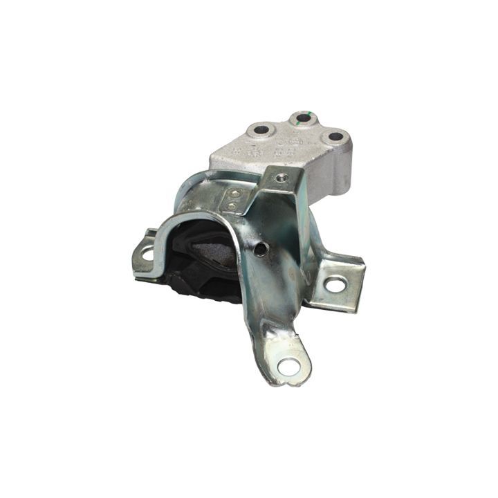 Variklio montavimas BIRTH 51535