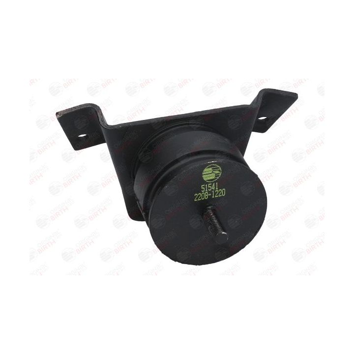 Variklio montavimas BIRTH 51541