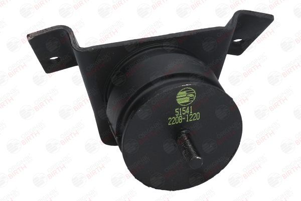 Variklio montavimas BIRTH 51541