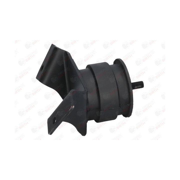 Variklio montavimas BIRTH 51541